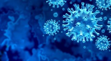 coronovirus